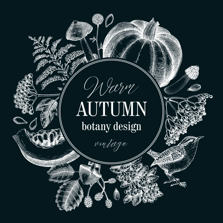 Vintage autumn wreath design. Thanksgiving background. Fall leaves, pumpkins, berries, mushrooms sketches on chalkboard. Hand-drawn vector illustration. NOT AI generated